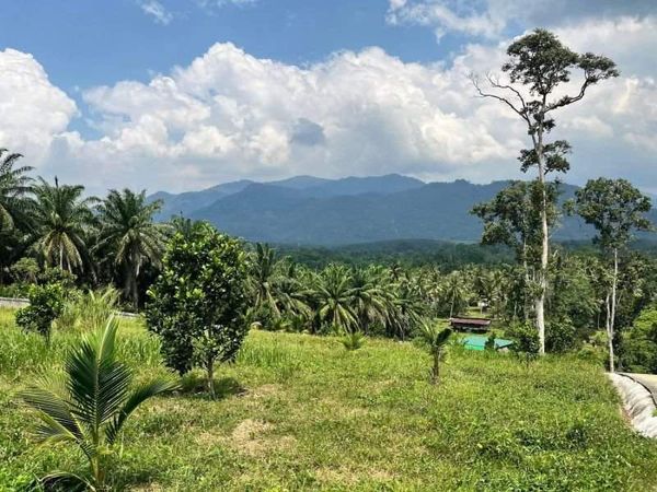 Private Farm Visit, Perak