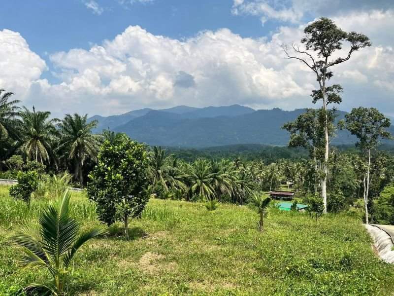Private Farm Visit · Perak